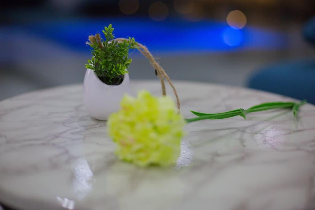 Villa Enjoy Lux In سبليت المظهر الخارجي الصورة